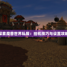 探索魔兽世界私服：挂机技巧与设置攻略