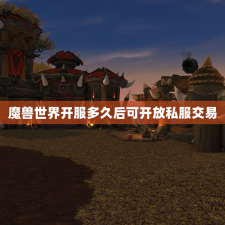 魔兽世界开服多久后可开放私服交易