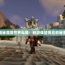 揭秘魔兽世界私服：畅游体验背后的秘密