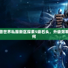 魔兽世界私服新区探索5级石头，升级效率如何