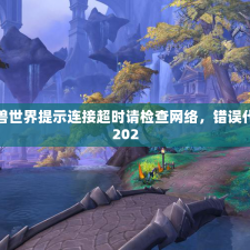 魔兽世界提示连接超时请检查网络，错误代码202