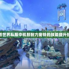 魔兽世界私服中机智耐力宠物的技能提升技巧
