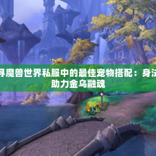 探寻魔兽世界私服中的最佳宠物搭配：身法宠助力金乌融魂